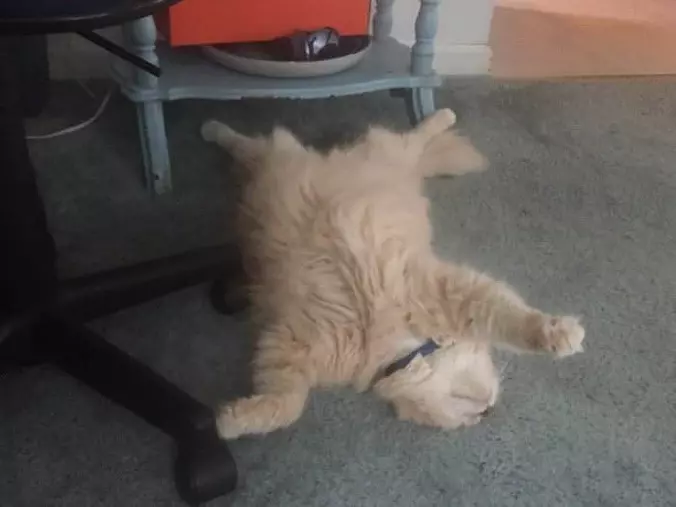 Laying Around On My Back