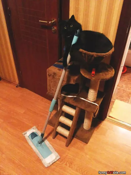 Doing Some Cleaning