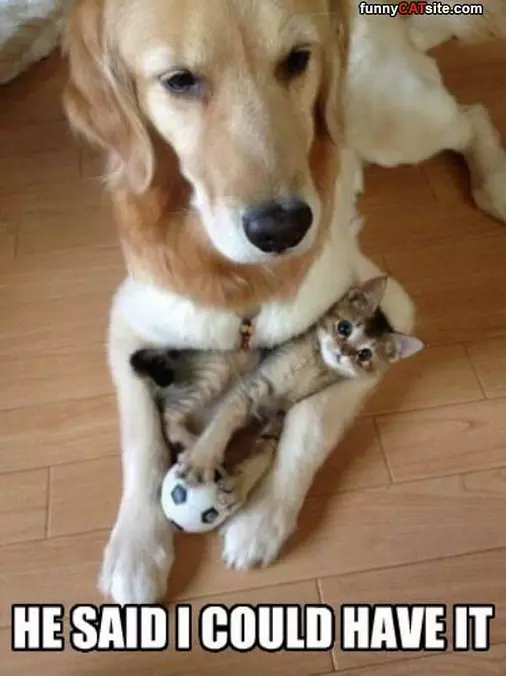 He Said I Could Have It