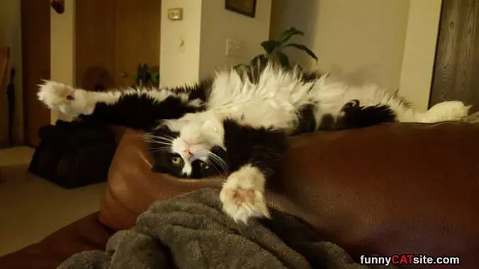 Ahhhh So Tired