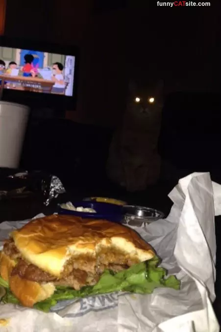 I Am Watching It For You