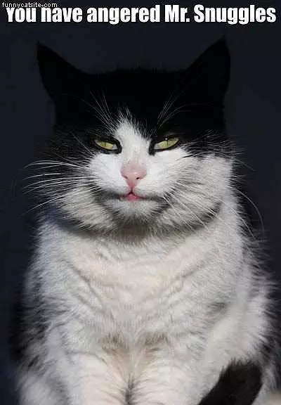 Angered Mr Snuggles