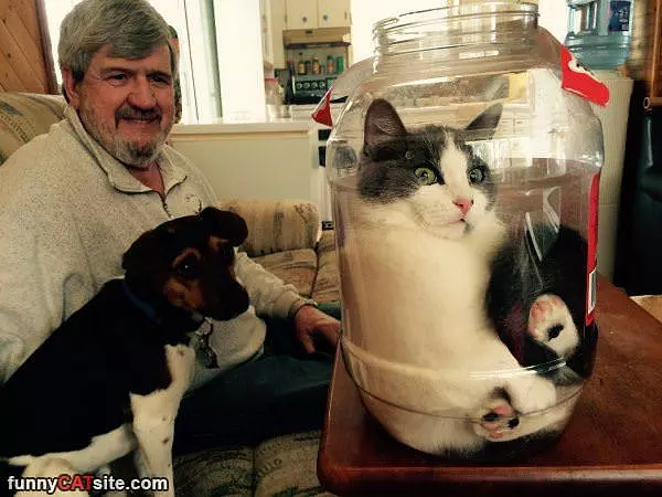 Trapped