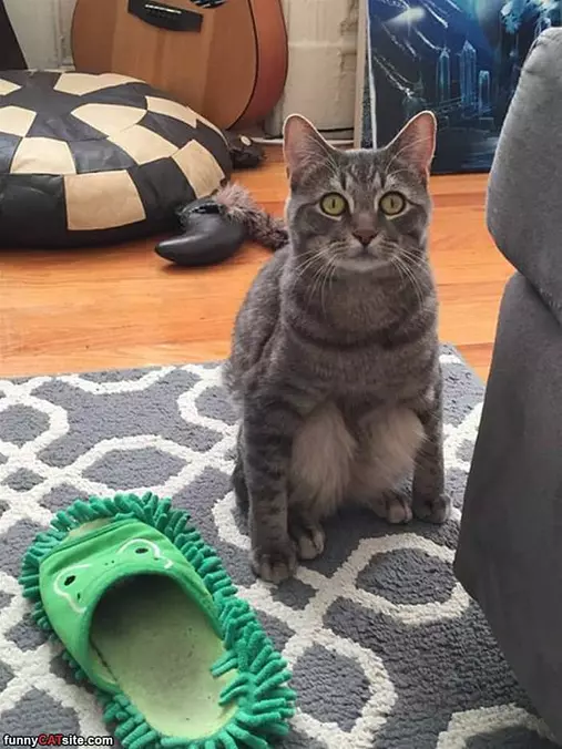 I Sit How I Want