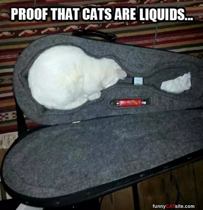 Proceed