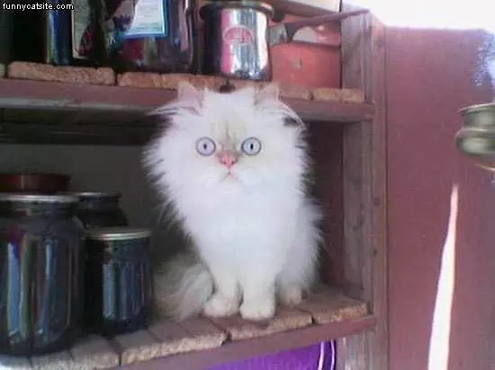 Giant Eyes