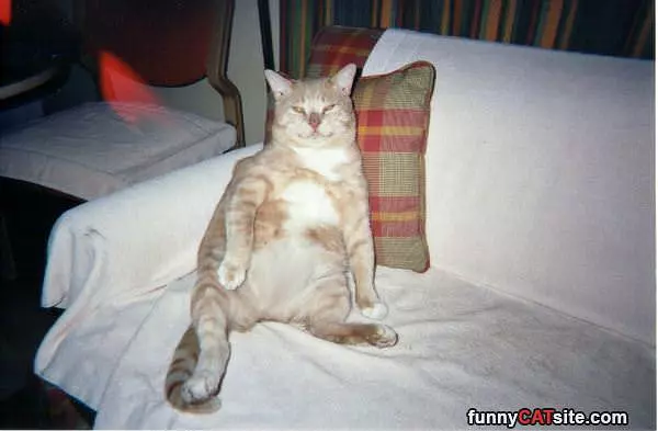 Mick Chillin