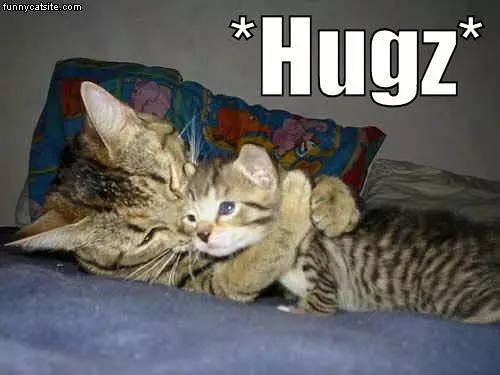 Hugz