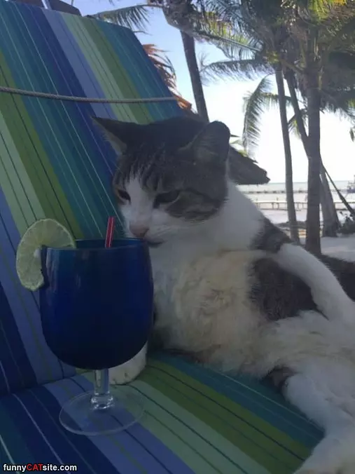 Such A Relaxing Day