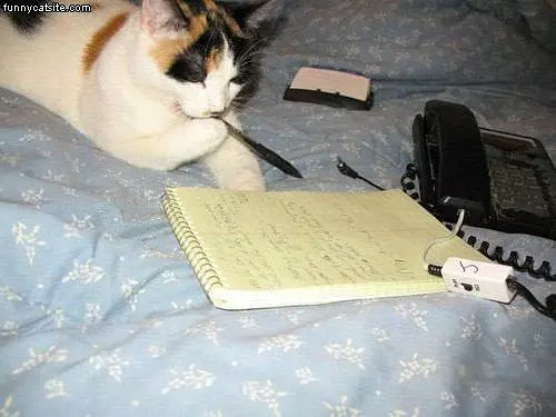 Homework