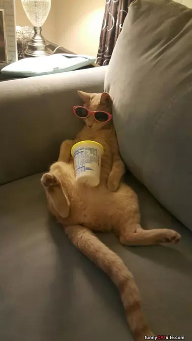 Got My Glasses On Chillin