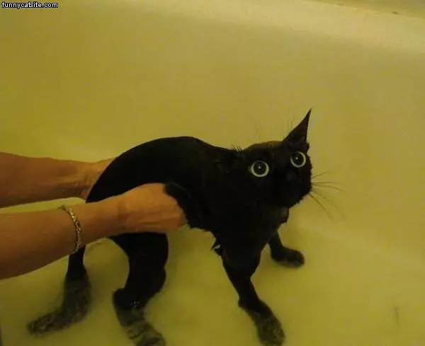 Bath Time Is The Best