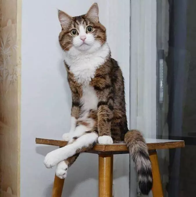 How I Relax When I Sit