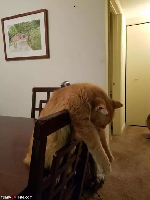 I Am On The Table