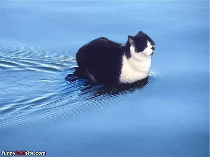 I Am Hanging Out In The Water