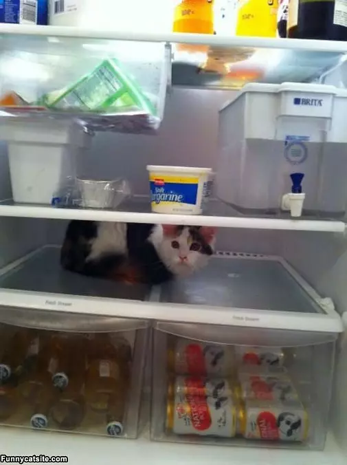 Cooling Down