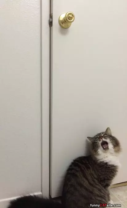 Whoaaaaaaaaa