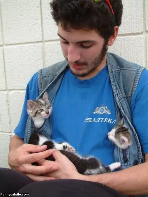 Jacket Full Of Kittens