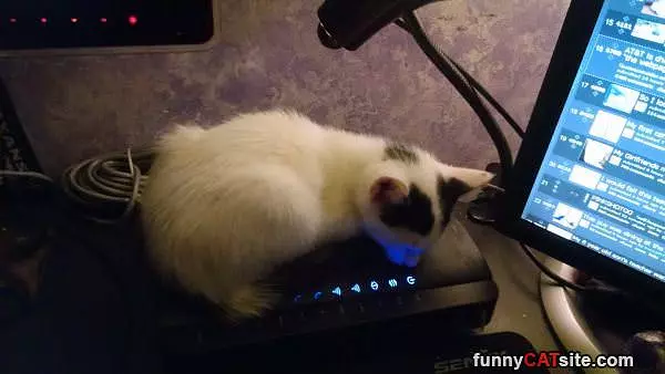 Warmest Spot In The House
