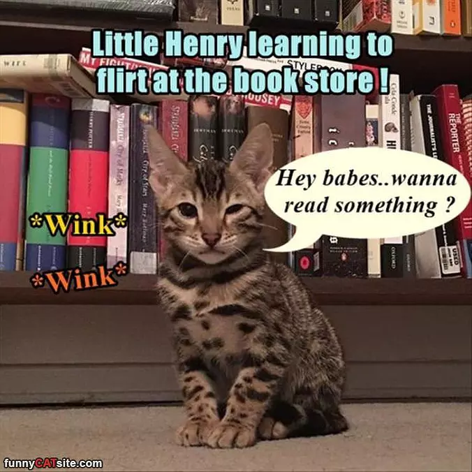 Little Henry