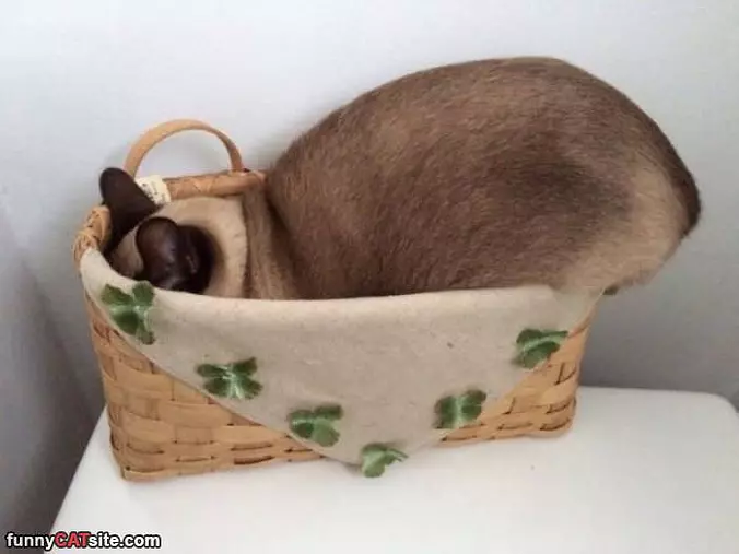 I Am Bread Now