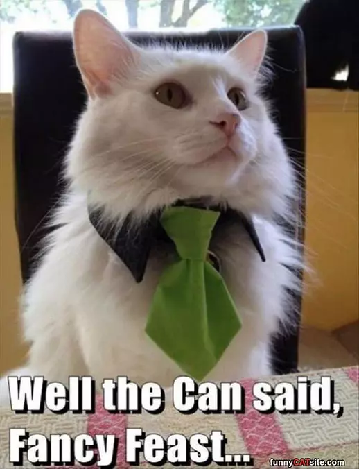 Fancy Feast