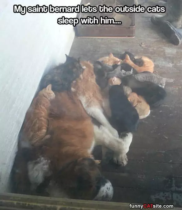 Good Way To Stay Warm