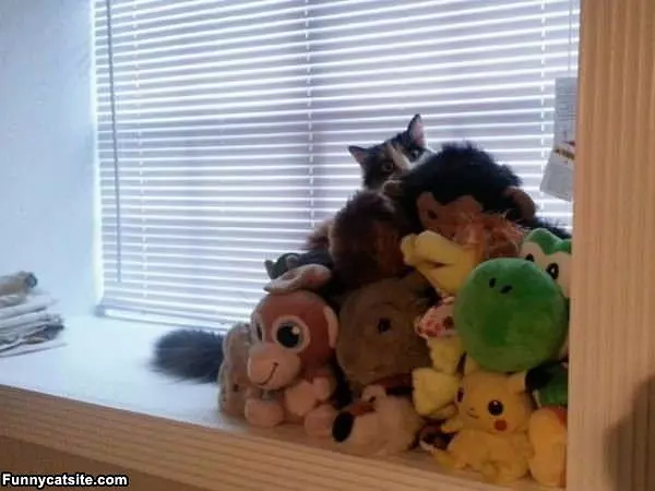 I Am In Here Hiding