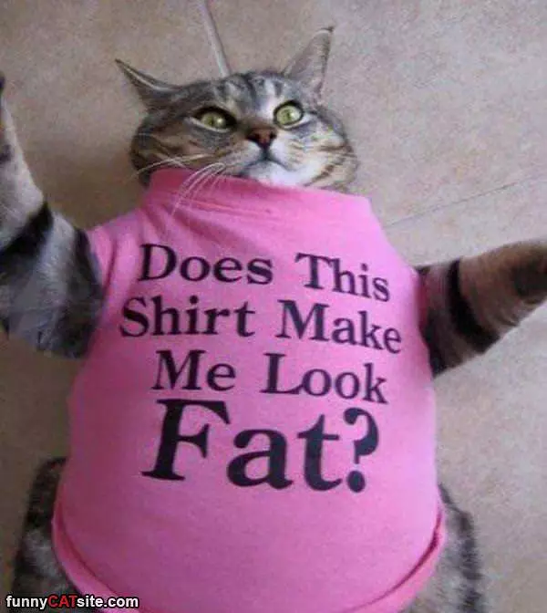 This Shirt