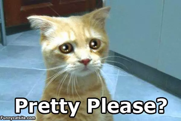 Pretty Please