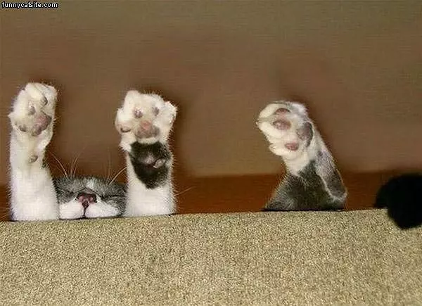Heres My Feets