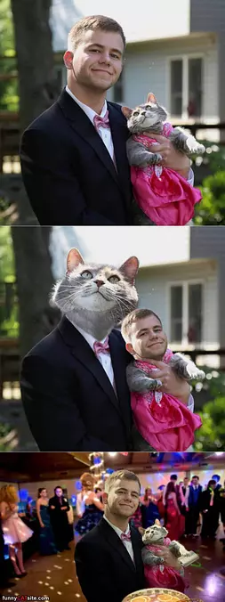 The Best Prom Date
