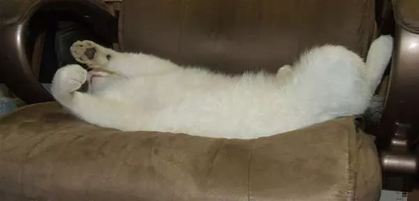 I Sleep How I Want