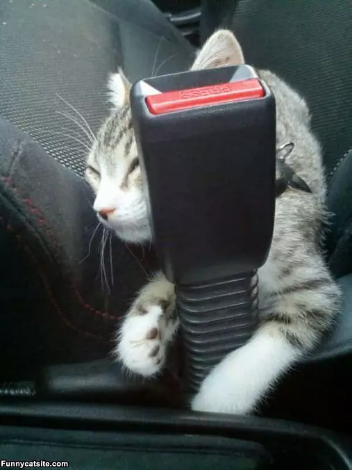 Safety First