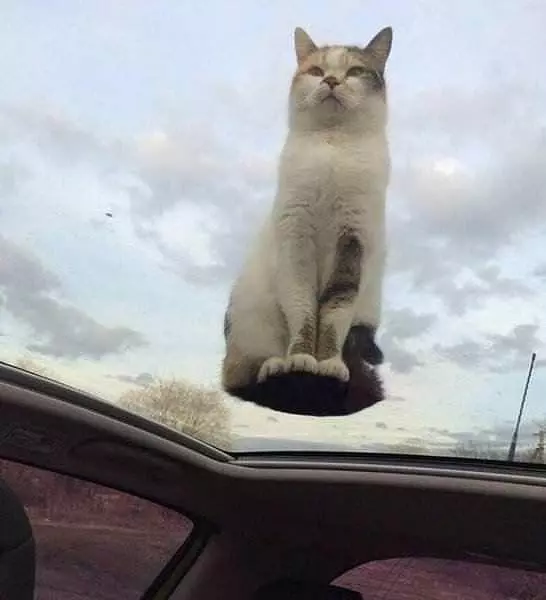 I Aspire To Be This Calm