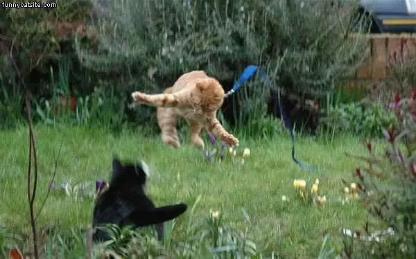 Jump Attack