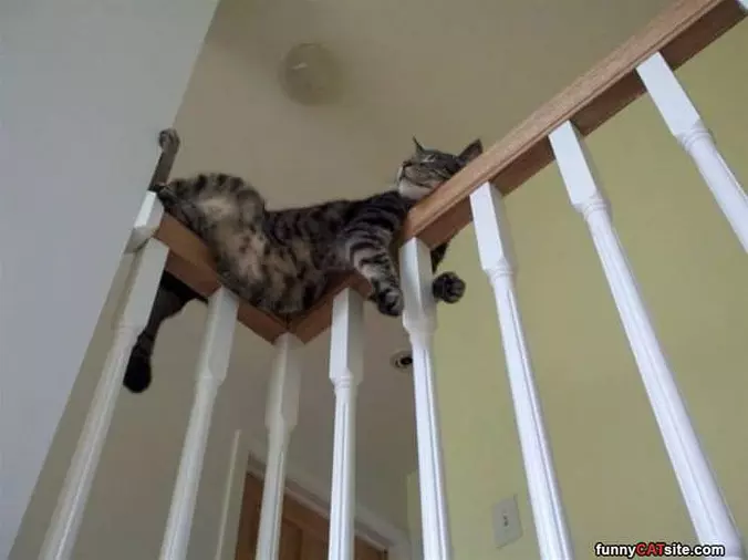 Chill Up There
