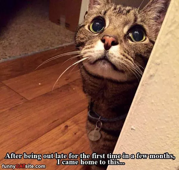 Went Out Late