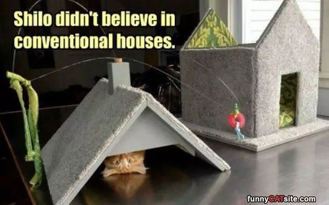 Non Conventional