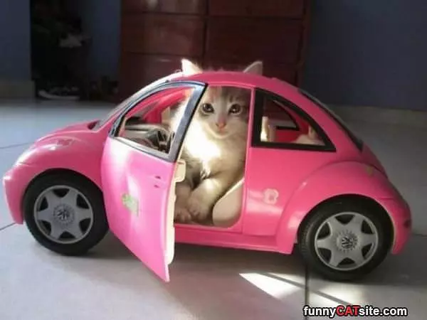 I Cant Drive