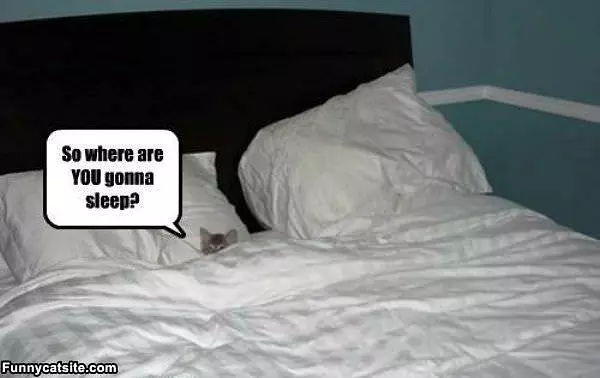 Where You Gonna Sleep