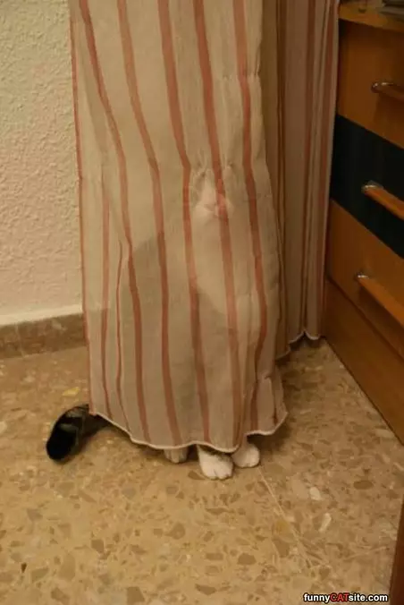 Behind The Curtain