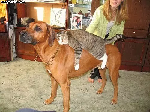 Take Me Home