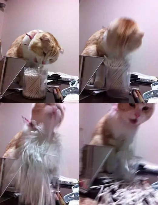 Rarrgghhh