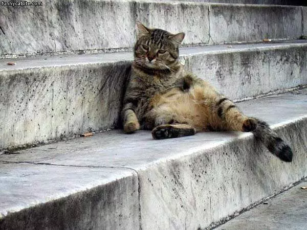 I Are Lazy Today