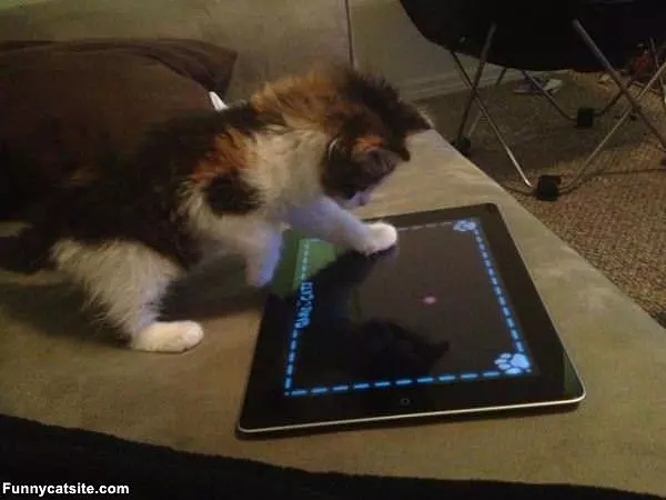 Ok Cmon Lets Play