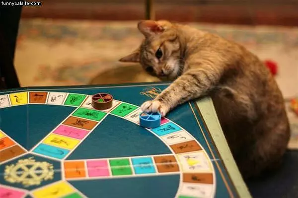 Your Move