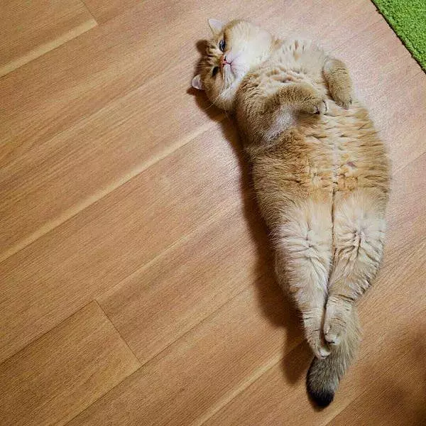 Just Relaxed