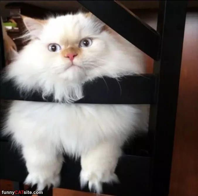 I Am Just Relaxing How I Want