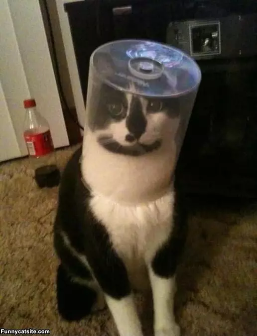 Off To Space